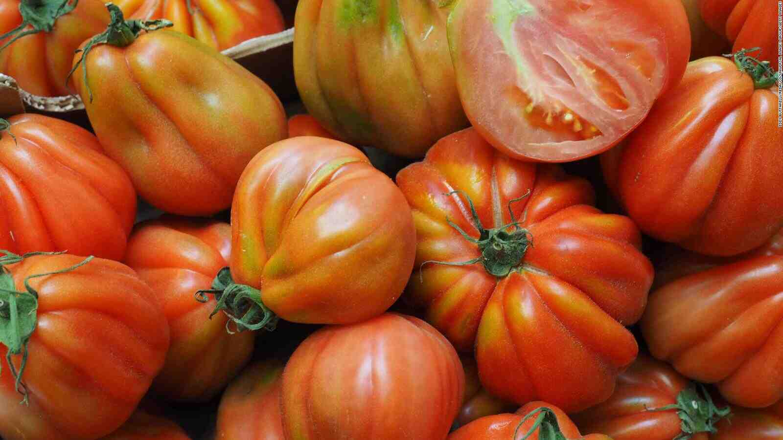 Comment fabriquer une protection pour les tomates ?