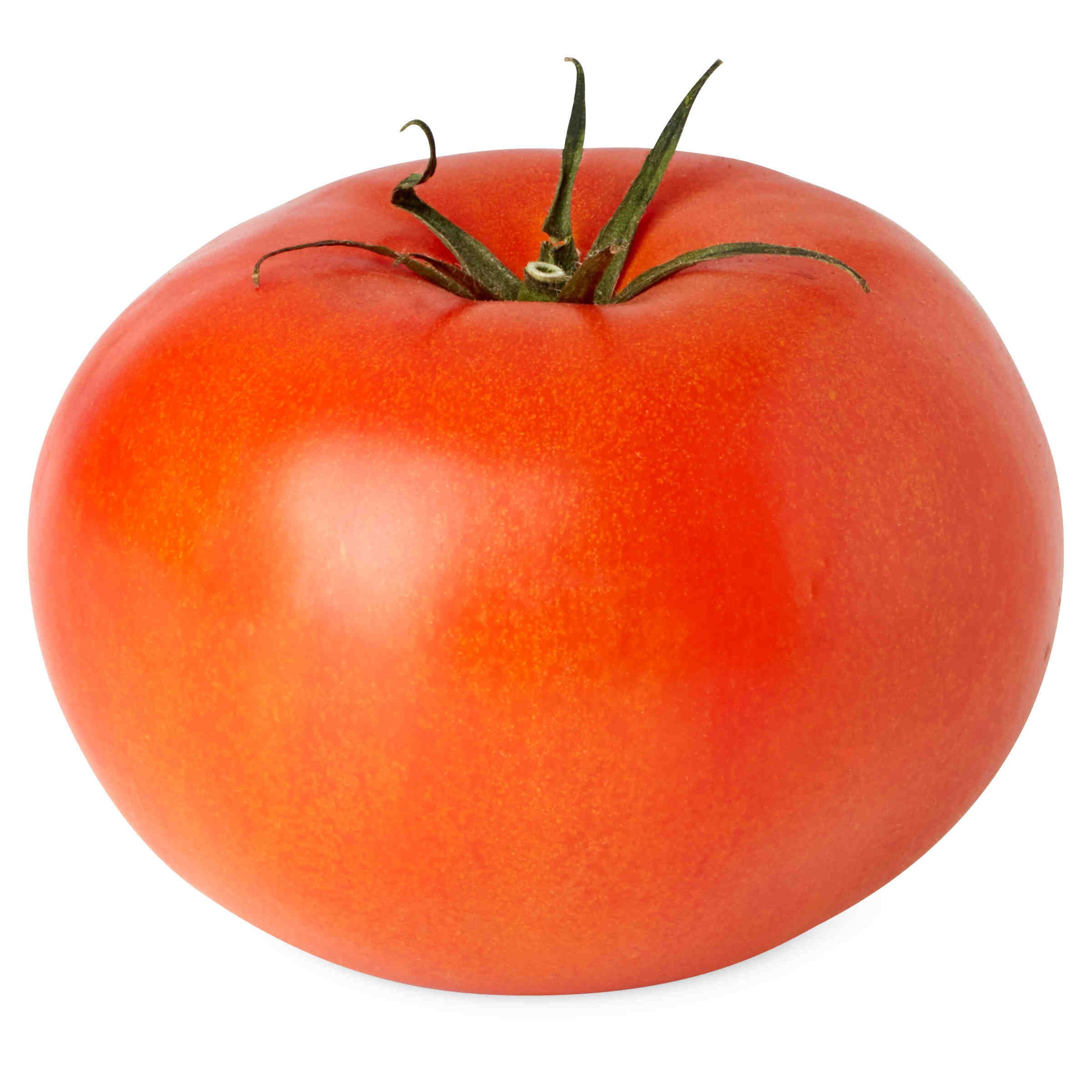 Comment protéger les plants de tomates du froid ?