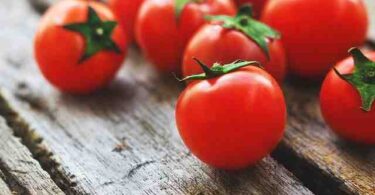 Peut on planter des tomates quand il pleut  ?
