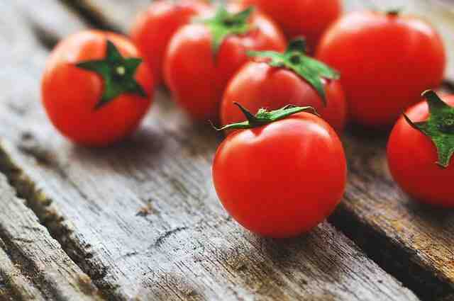 Peut on planter des tomates quand il pleut  ?
