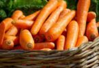 Quand planter les carottes  ?