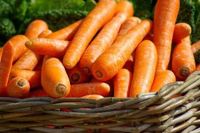 Quand planter les carottes  ?