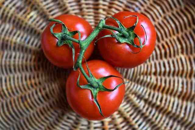 Quand planter les semis de tomates  ?
