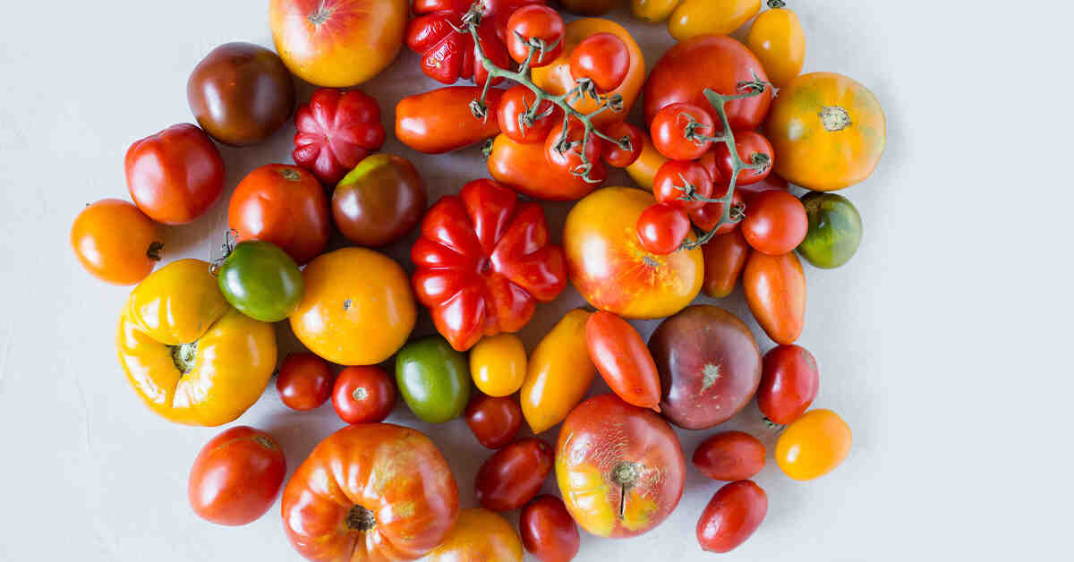 Quand planter les tomates en 2021 ?