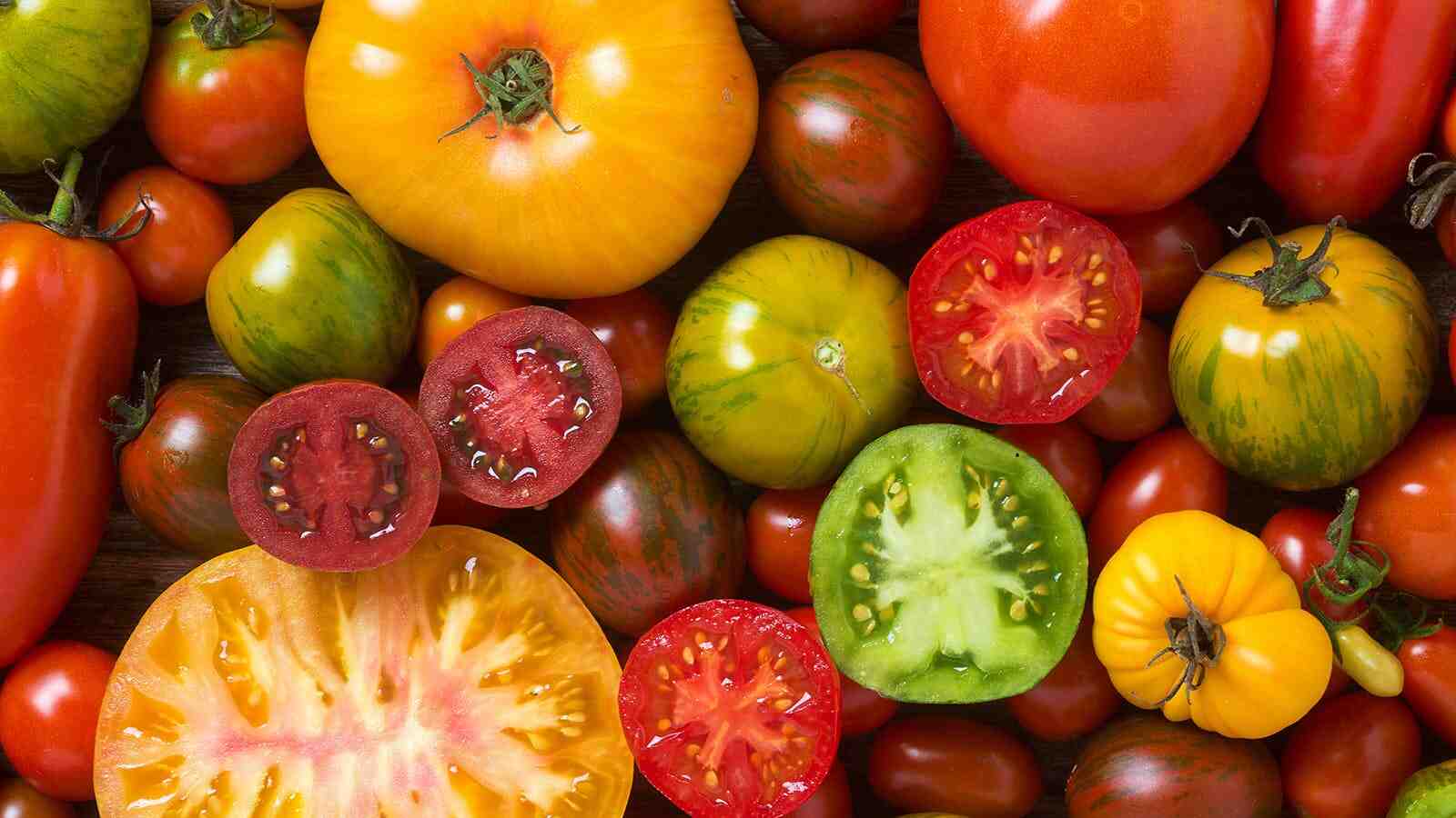 Quand planter les tomates lune 2021 ?