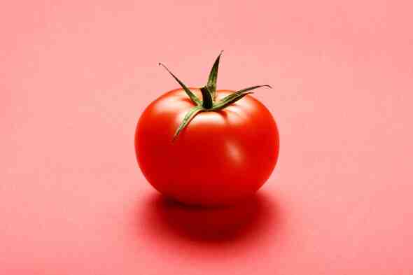 Quand planter ses tomates en 2021 ?