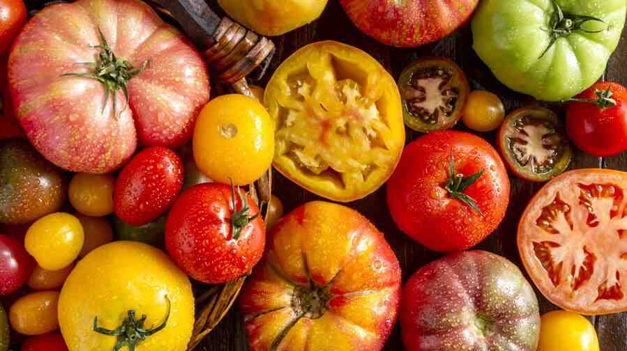 Quel est le meilleur engrais pour les tomates ?