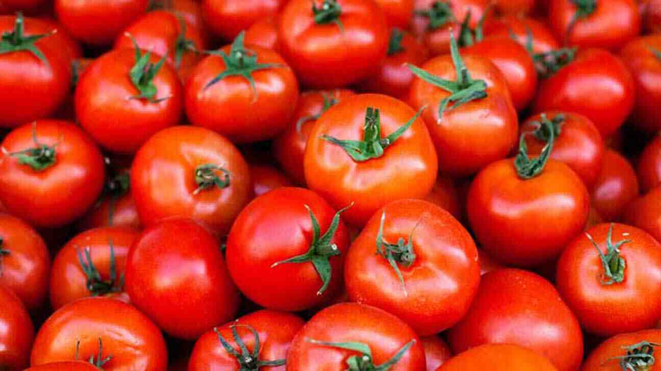 Quel est le meilleur fumier pour les tomates ?