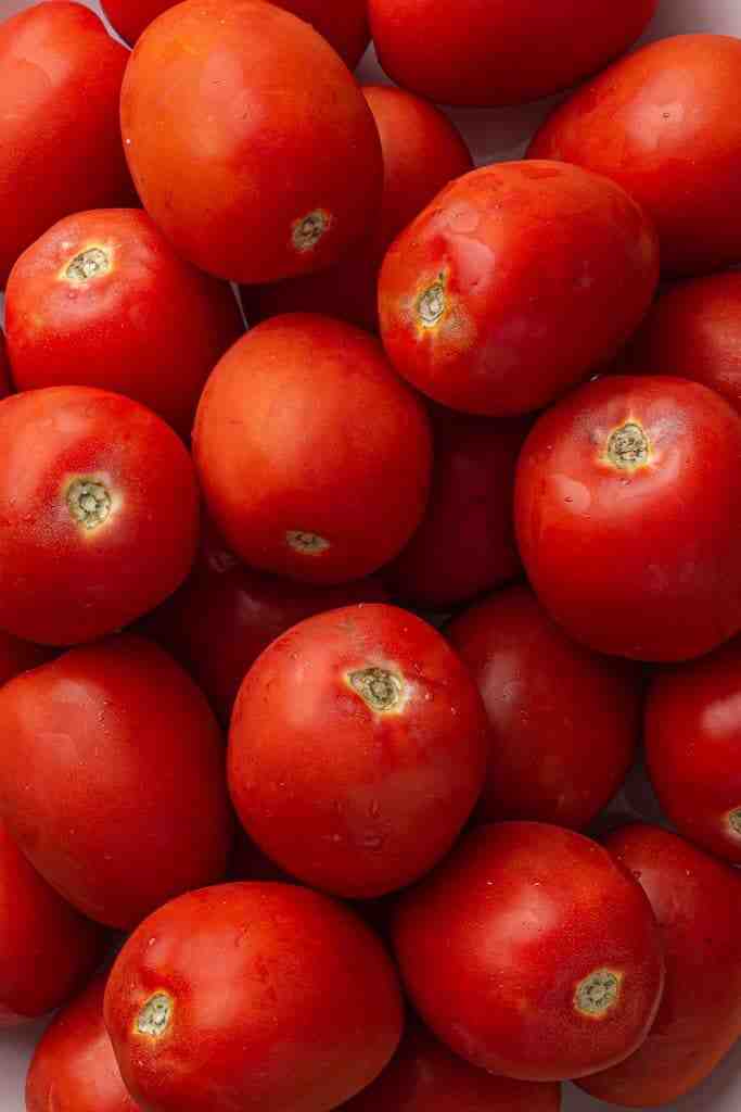 Quelle est la profondeur des racines de tomates ?
