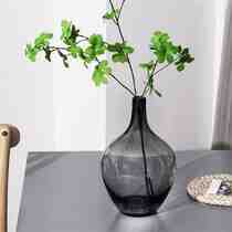 Quelle plante dans un vase en verre ?