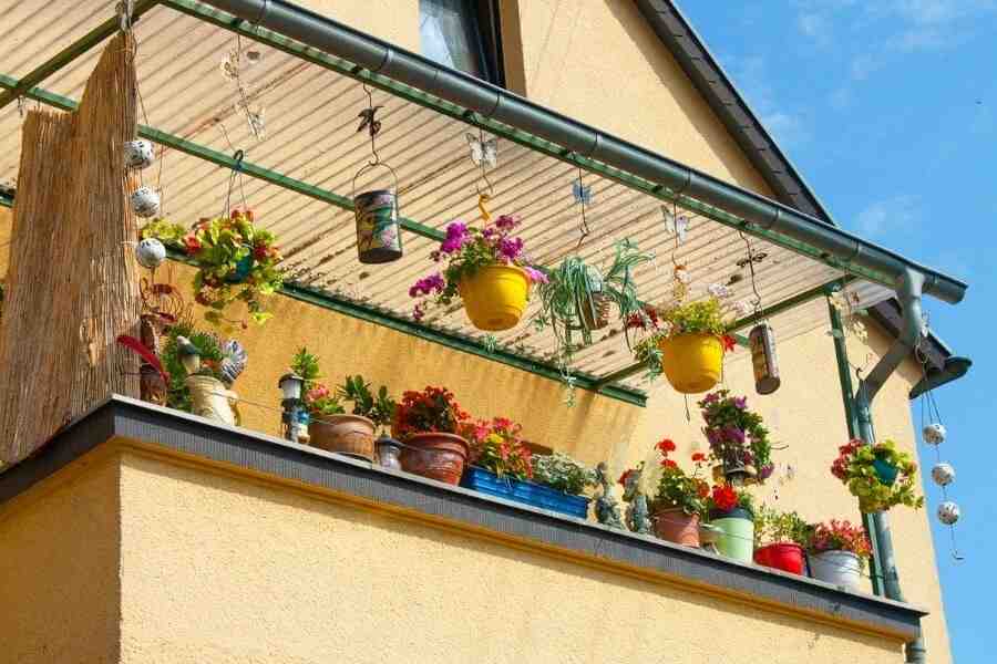 Quelles plantes pour mettre sur la terrasse ?