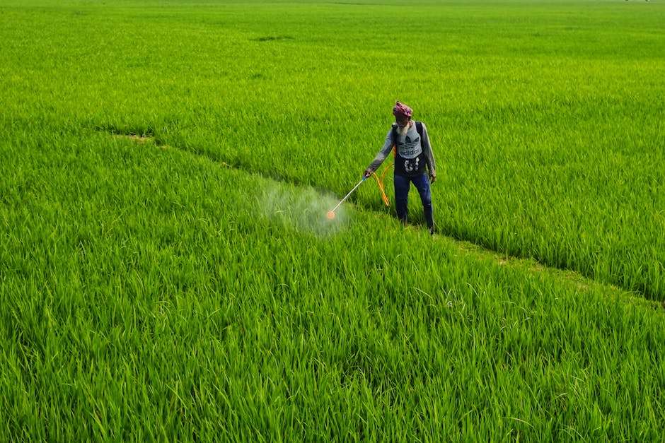 Quels sont les effets néfastes des désherbants sur l’environnement et la santé ?