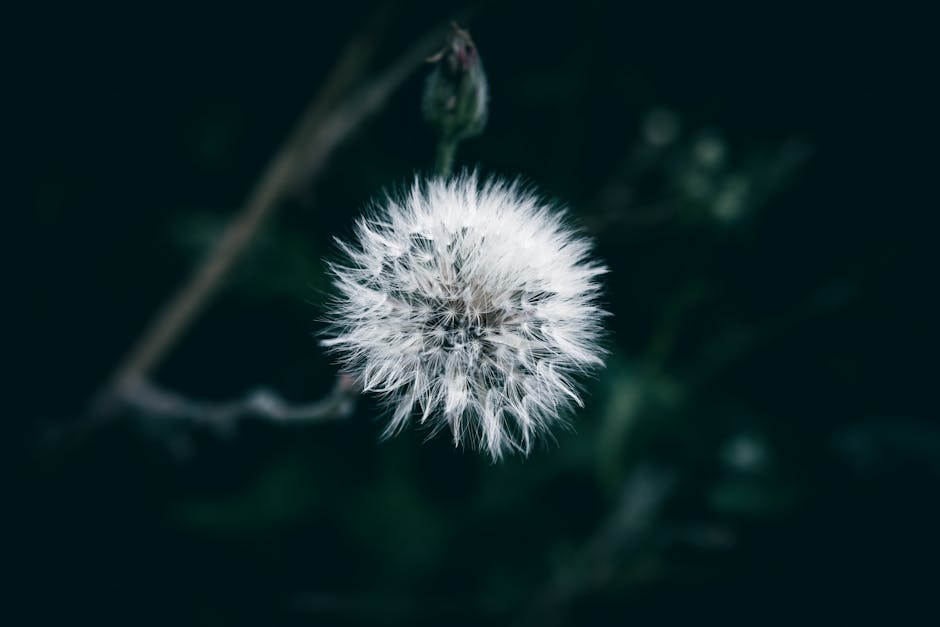 Le désherbant naturel : mythe ou réalité ?